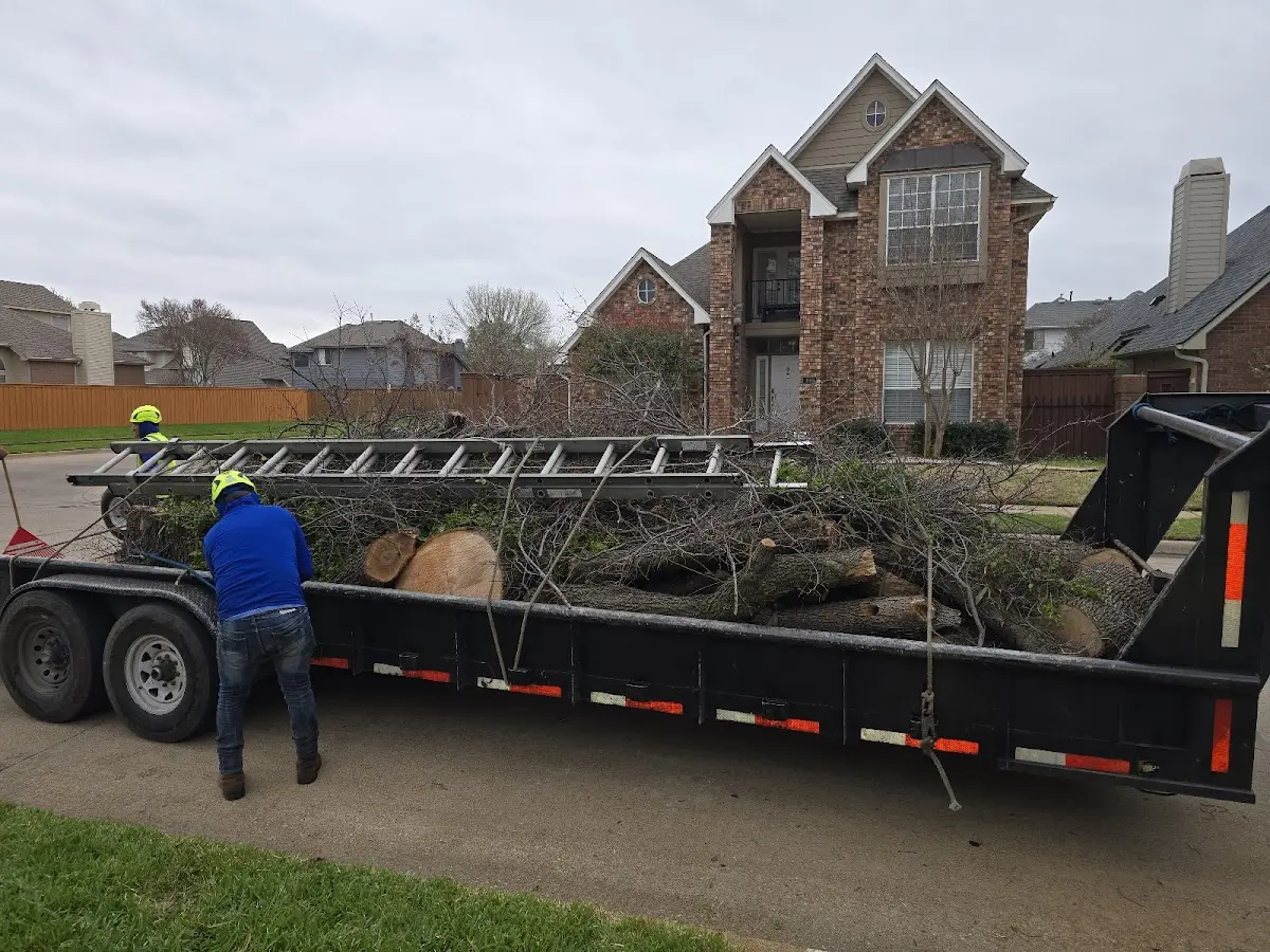 Expert Tree Fertilization with proper safety equipment in Wolcott